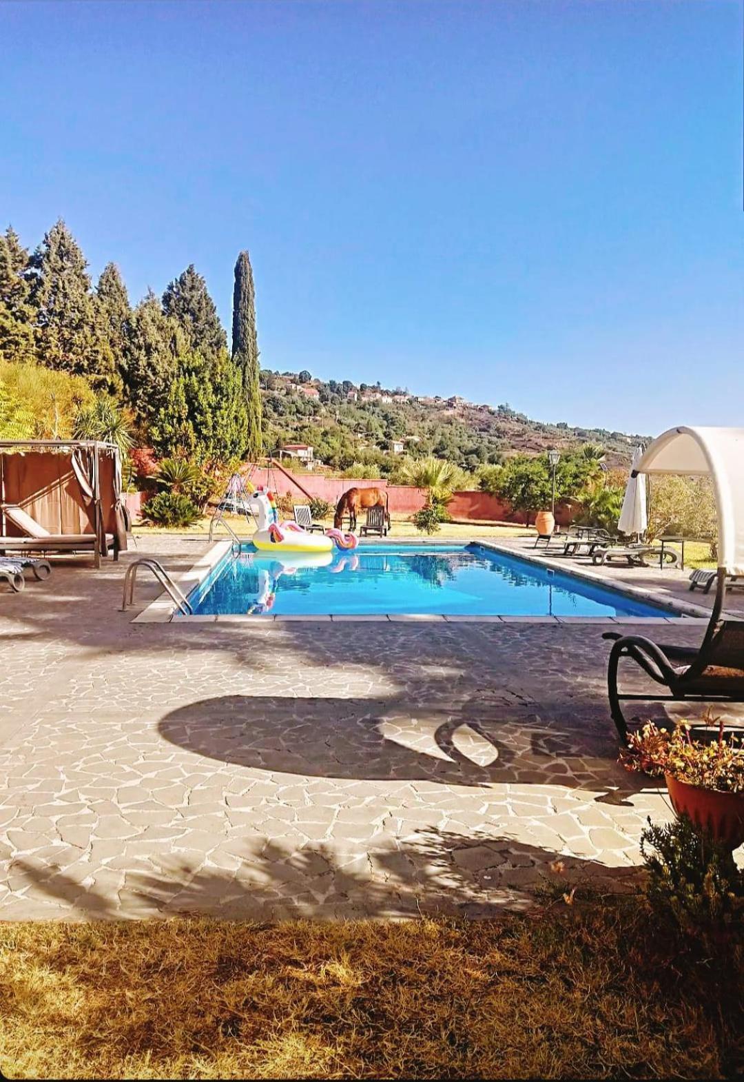 Villa Alessio - Case Vacanza Con Piscina Sull'Etna Puntalazzo ภายนอก รูปภาพ